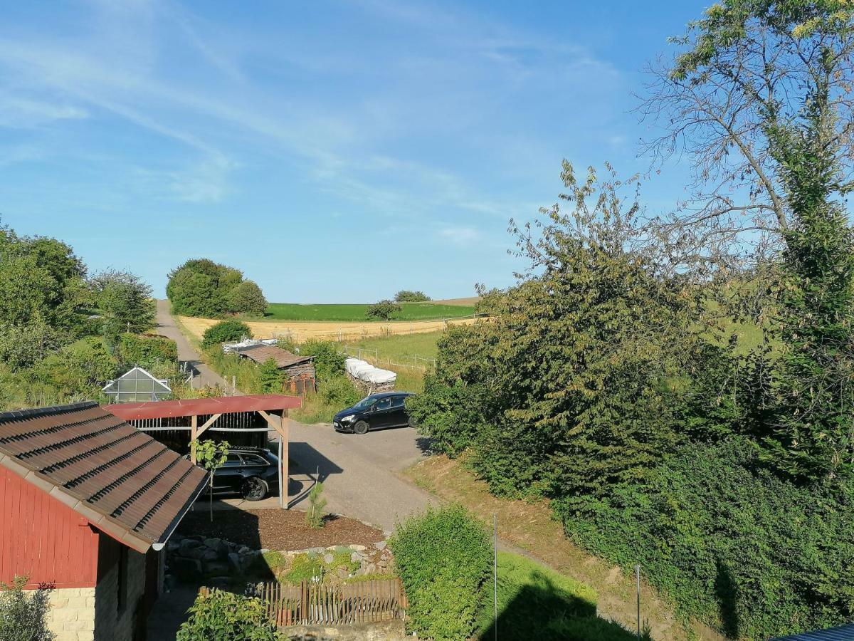 Kieselsgrund Appartement Dielheim